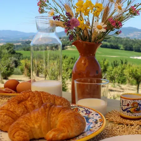 La Quercia Bella *